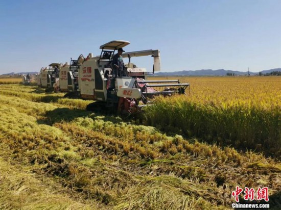 稻花香里说丰年丨这个农业大省，丰收的密码藏在这里