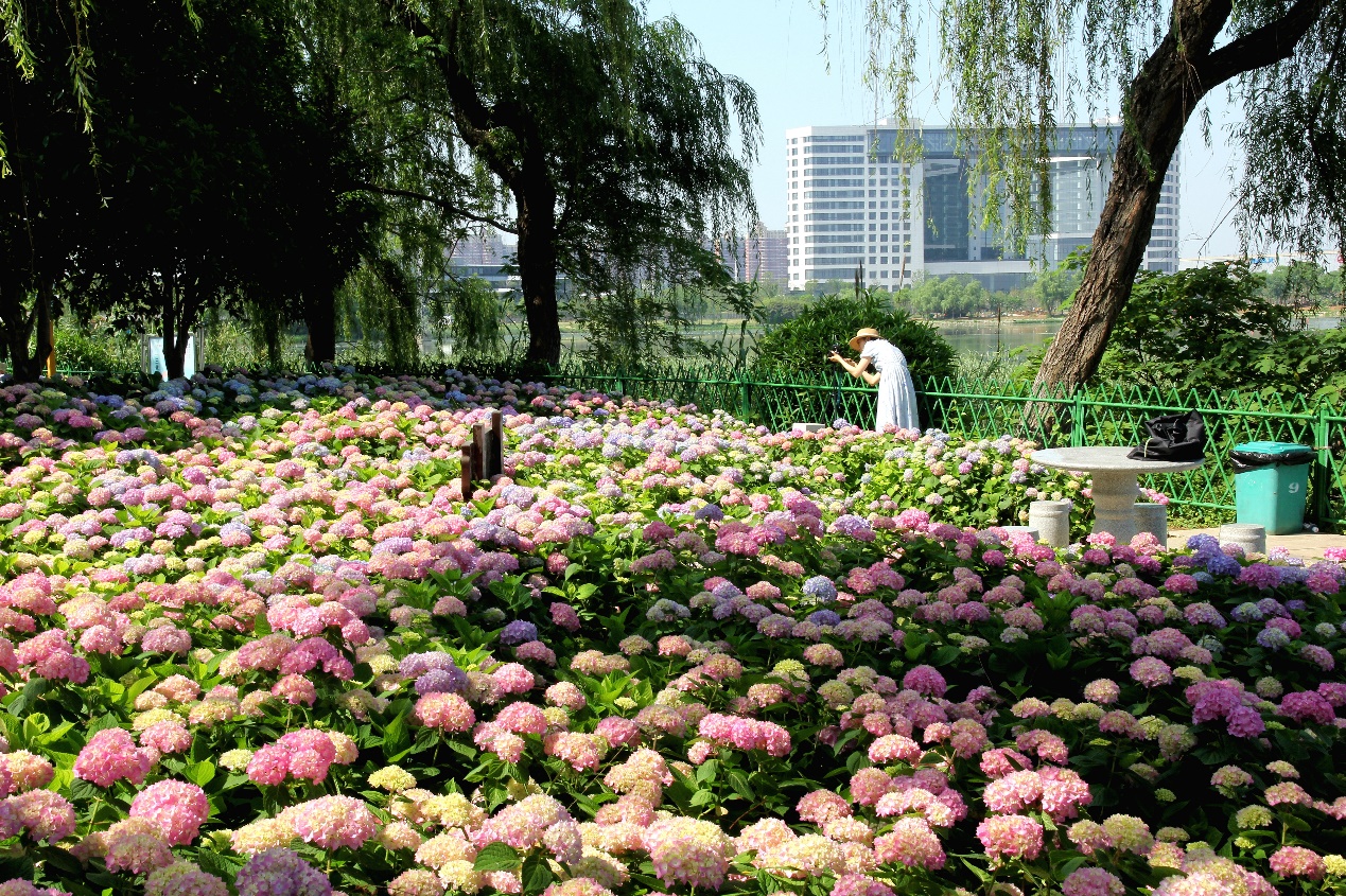 厚植生态人文底蕴 让城市“活起来”“绿起来”