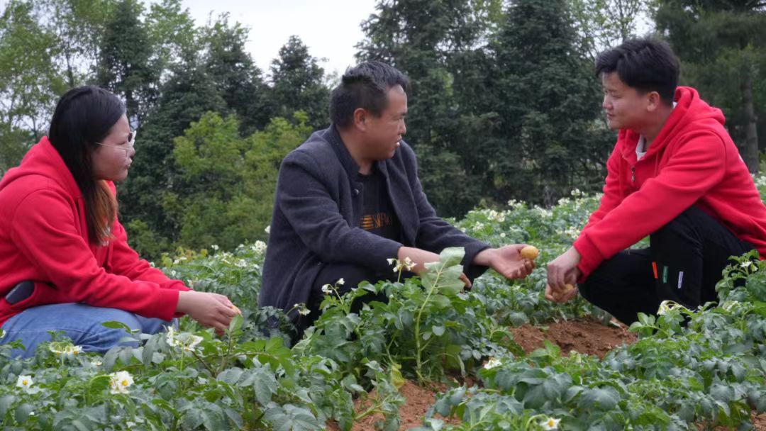 龙凤科技小院：“象牙塔”和“泥土地”的双向奔赴