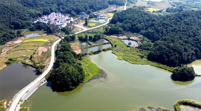 杨金龙用手机拍摄的道路全景。受访者供图