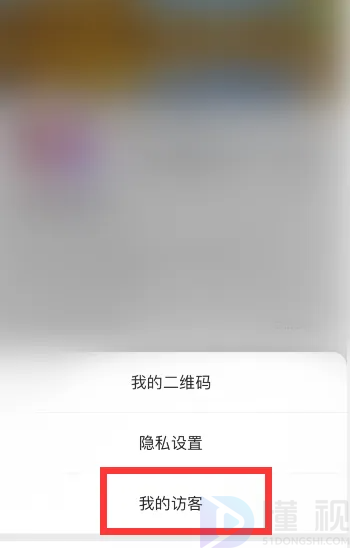 快手怎么看访客记录苹果手机