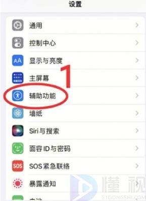 iphone自带防偷窥功能怎么设置不了