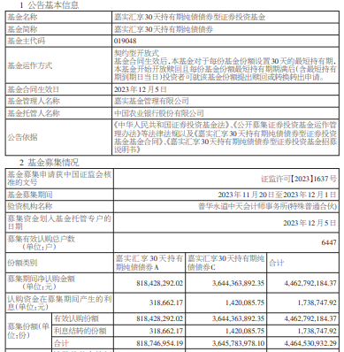 嘉实汇享30天持有期纯债基金成立 规模44.6亿