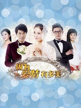 《因为爱情有多美DVD》在线观看免费完整观看，全80集在线观看剧情介绍