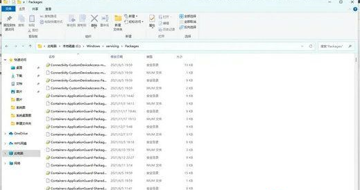 w10补丁右键无法卸载(windows补丁没有卸载按钮)