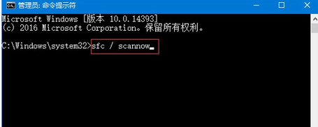 window10不显示文件后缀(win10 不显示文件夹)