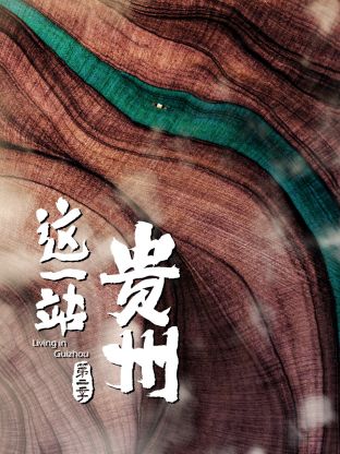 《这一站，贵州 第二季》时长：120分钟免费剧情，共564字