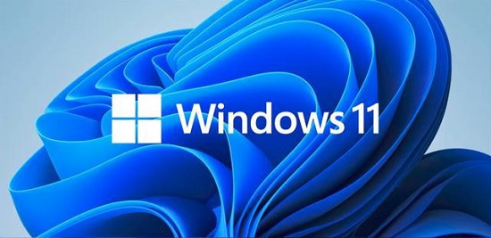 Win11如何安装字体(win11如何安装net3.5)