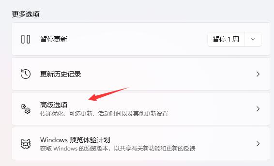 win11体验版下载(win11体验版安装)