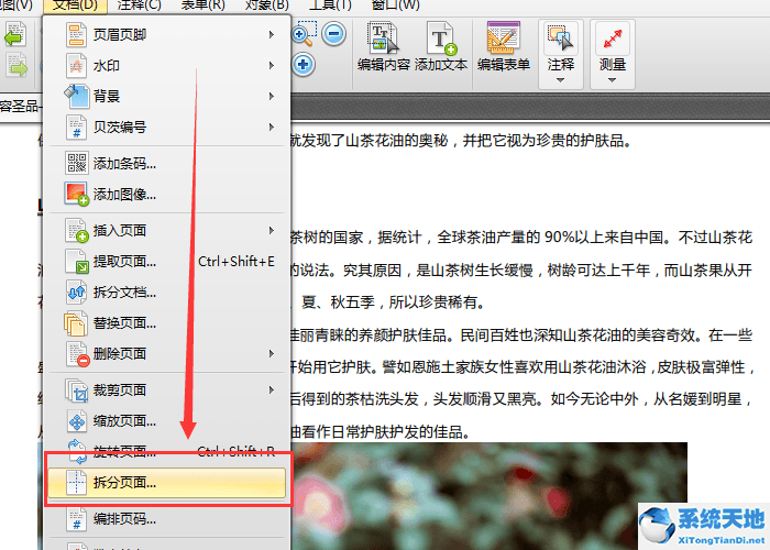 迅捷pdf编辑器怎么分割(迅捷pdf编辑器如何拆分pdf)