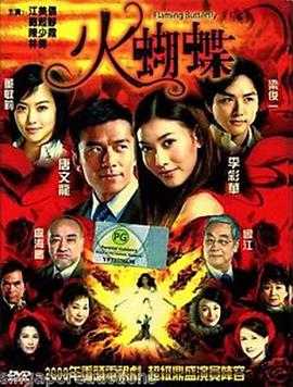 《火蝴蝶2008》全31集45分钟剧情介绍，共356字