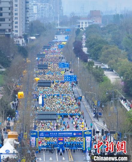 武汉马拉松鸣枪开跑 中外选手邂逅最美樱花季