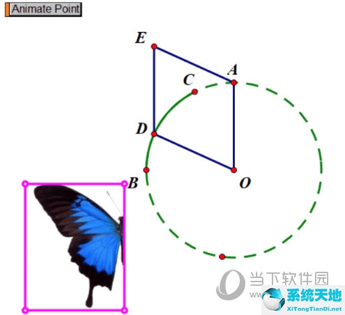 几何画板制作会飞的蝴蝶(几何蝴蝶模型)