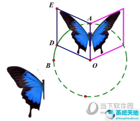 几何画板制作会飞的蝴蝶(几何蝴蝶模型)