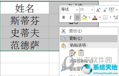 怎么把表格复制成一张图片(excel表格怎么复制成图片到word)