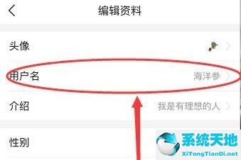 今日头条怎么更改用户名(今日头条的用户名可以更改吗?)