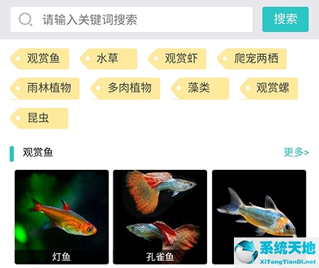 泡泡水族馆(泡泡水族论坛官方下载)