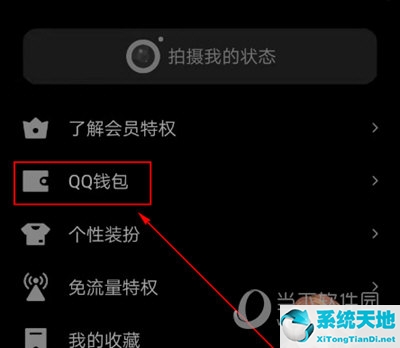 qq如何开启指纹支付(qq怎么开启指纹付款)