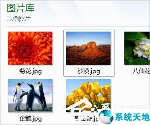 window图片不显示缩略图(windows图片不显示缩略图)