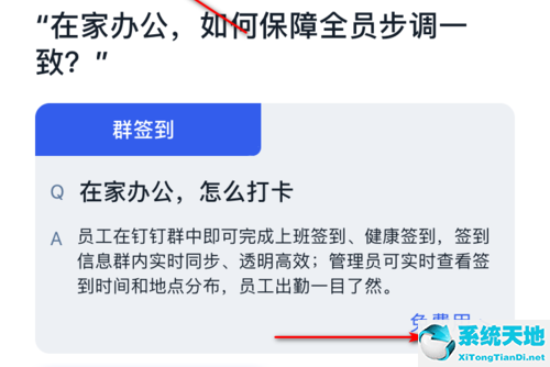 钉钉群签到怎么弄?(钉钉群签到在哪里设置)