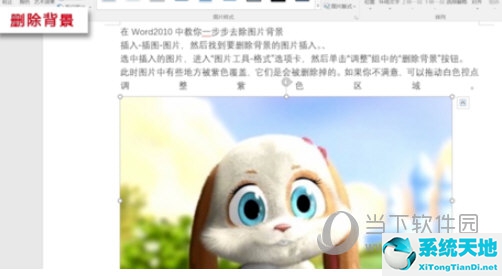 word如何删除图片背景色(word中怎么删除图片背景)