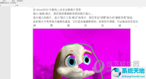 word如何删除图片背景色(word中怎么删除图片背景)